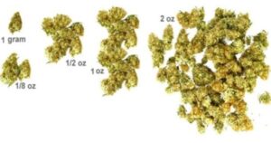 Weed Measurements Gram-Eight-Quarter-Ounce-And-Pound-Of-Weed