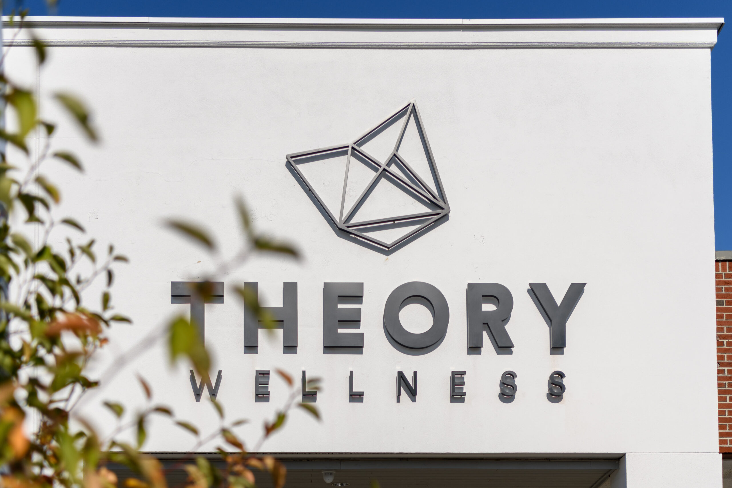 theory-wellness