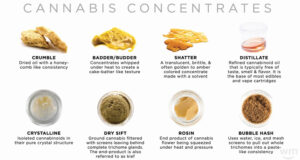 Types of Cannabis Concentrates